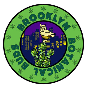 Brooklyn Botanical Buds Hoodie